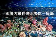 國境內最佳潛水去處—綠島