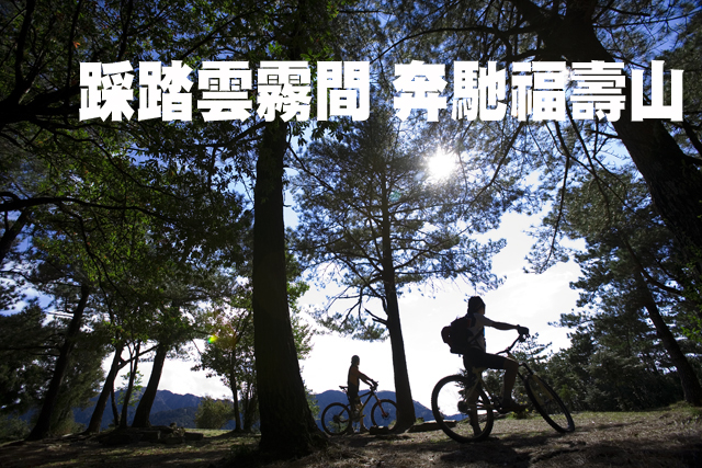 踩踏雲霧間    奔馳福壽山踩踏雲霧間    奔馳福壽山