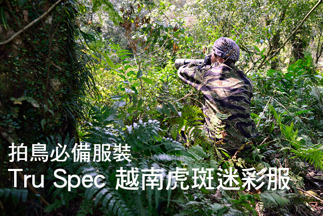 拍鳥必備服裝 Tru Spec 越南虎斑迷彩服拍鳥必備服裝 Tru Spec 越南虎斑迷彩服