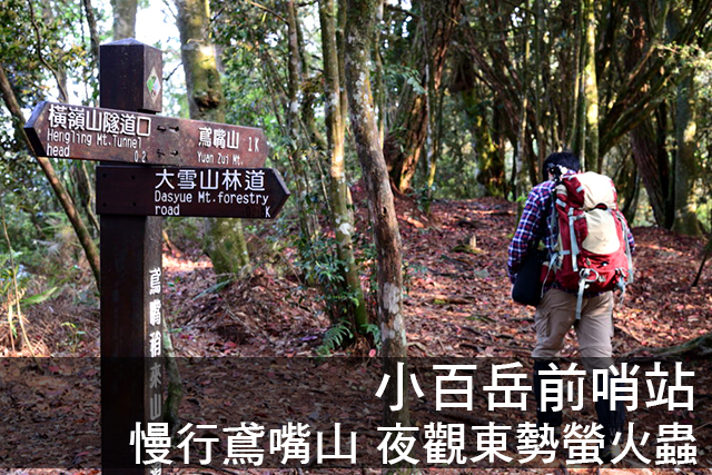 慢行鳶嘴山 夜觀東勢螢火蟲臺中一日遊 慢行鳶嘴山 夜觀東勢螢火蟲