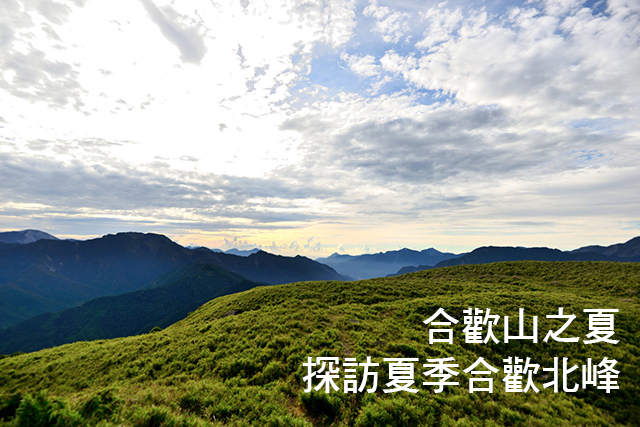 合歡山之夏 探訪夏季合歡北峰合歡山之夏 探訪夏季合歡北峰