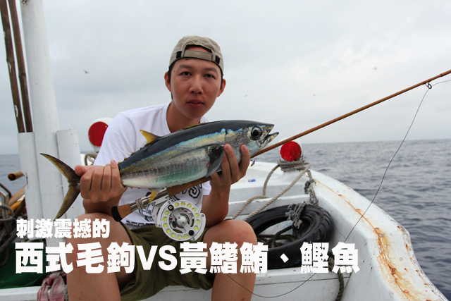 刺激震撼的西式毛鉤VS黃鰭鮪、鰹魚刺激震撼的西式毛鉤VS黃鰭鮪、鰹魚