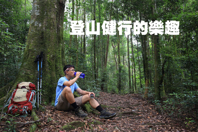 登山健行的樂趣登山健行的樂趣